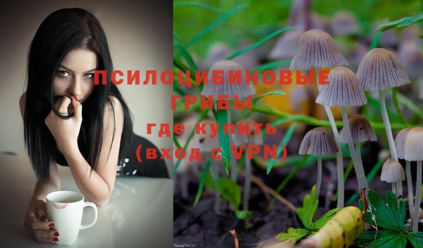 прущие крисы Алексин