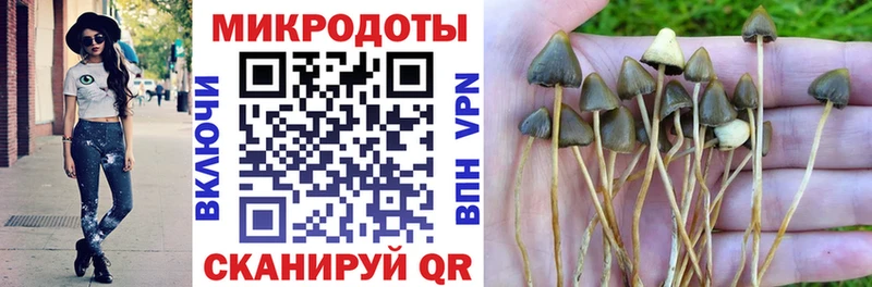 продажа наркотиков  мега вход  Псилоцибиновые грибы ЛСД  сайты даркнета официальный сайт  Пенза 
